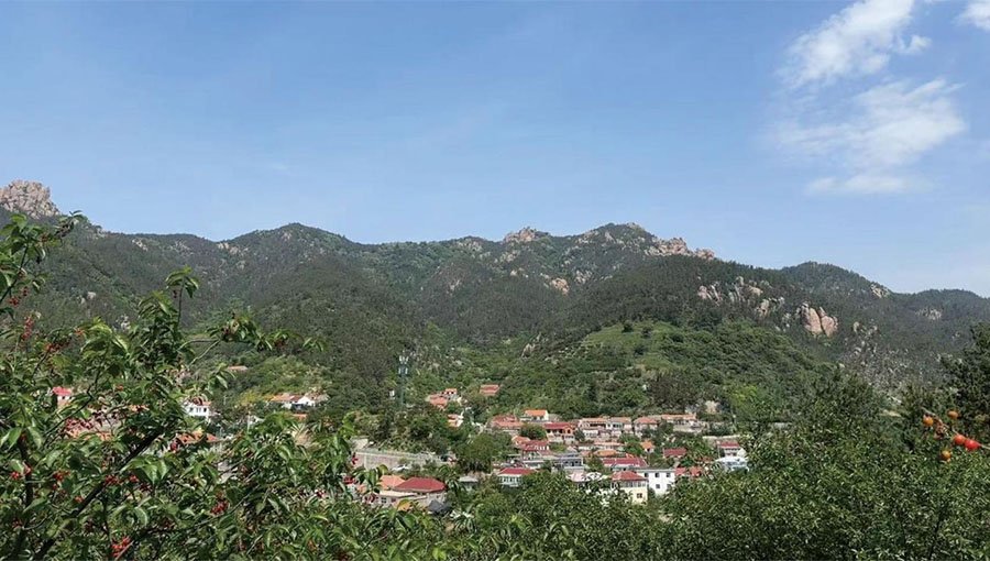 Qingdao Powtech Cherry-picking party Building (en inglés)