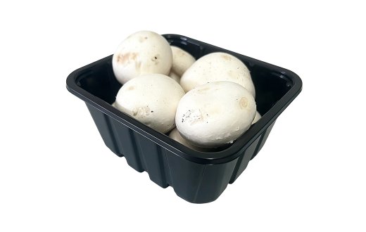 8OZ Mushoom Tray For Black Color