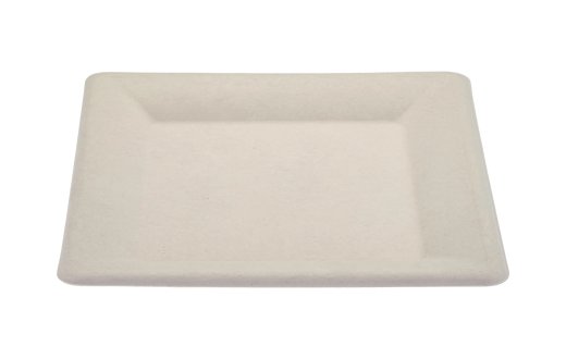 Takeaway Sugarcane Square Food Plate 6 Inches