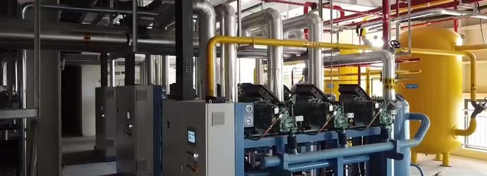 The Qingdao Pingdu Tianxiang Xiyan Food Cold 