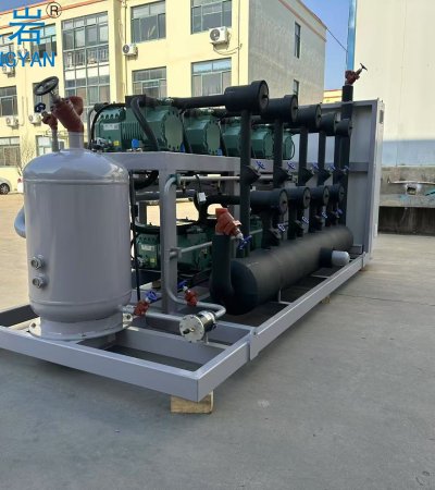 Bitzer piston refrigeration compressor unit