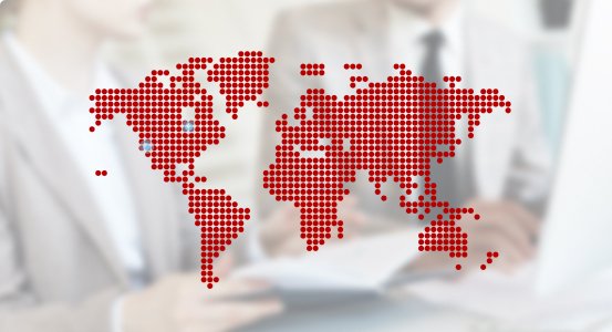 Professional local support