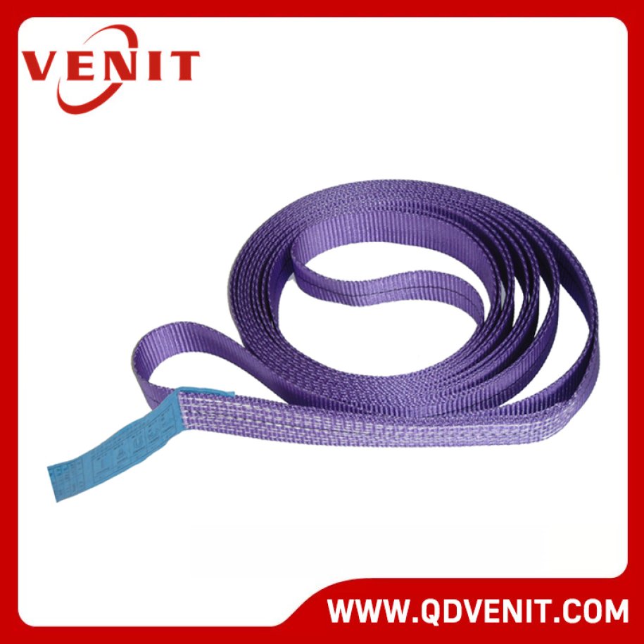 1T Single Ply Polyester Endless Webbing Sling