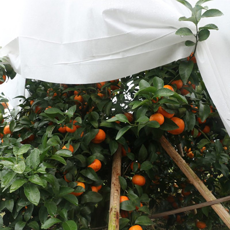 Garden non woven fabric 