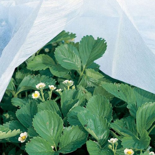 Garden non woven fabric 