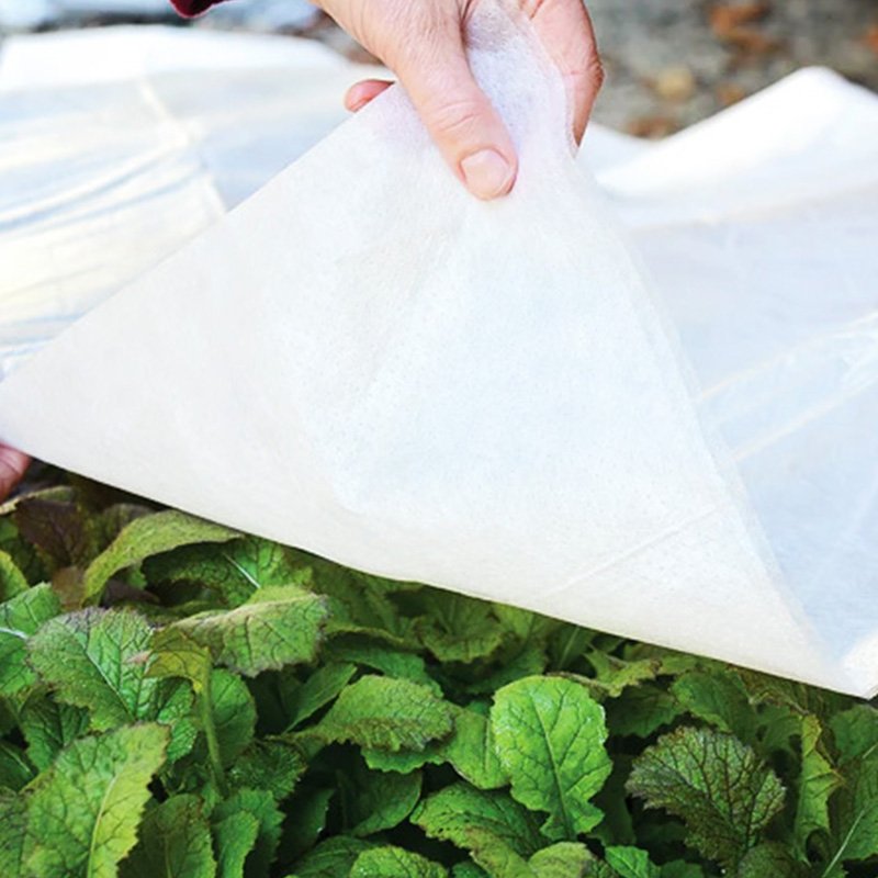 Seedling non-woven fabric