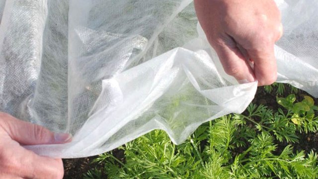 Garden non-woven fabric