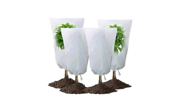 Can non woven plant protection prevent pests?