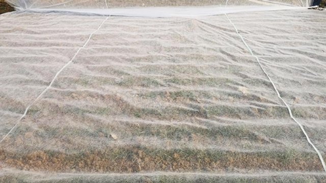 Ultra-Wide Extra-Joined Non-woven Fabric: An Efficient "Umbrella" for Large-scale Farmland