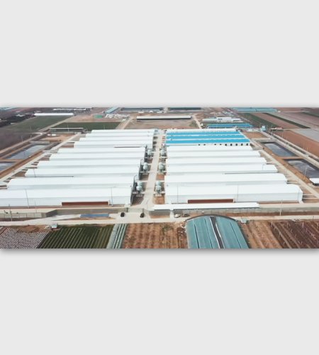 โรงเรือนเพาะพันธุ์โครงสร้างเหล็ก