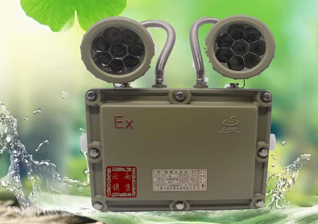 Shanghai Feice LED explosion-proof double-head emergency light