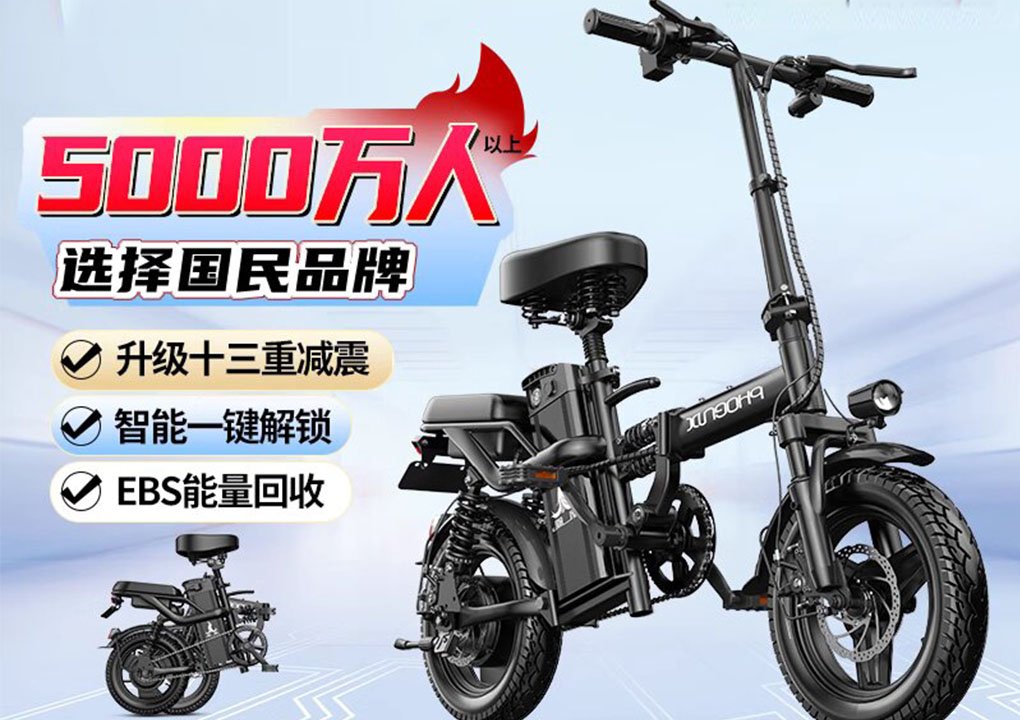 Phoenix Folding Electric Bicycle Driver