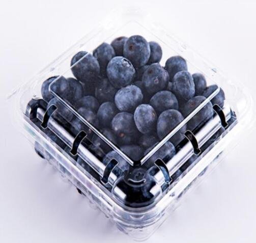 blueberry packaging