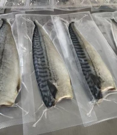 Thermoformed Stretch Film: 3 Key Benefits for Frozen Fish Packaging