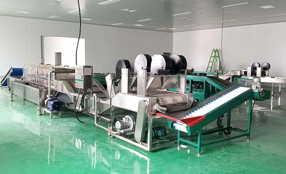 Fruit and Vegetable Processing Line