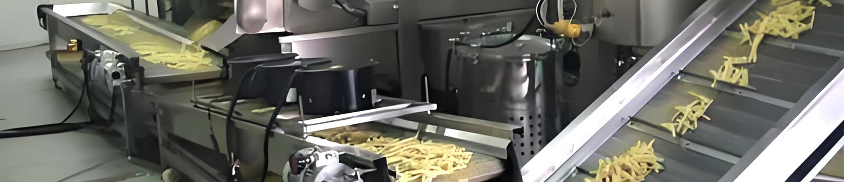 French Fries Production Line