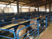 #_0001_羊舍副图2