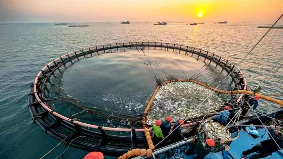 El estado tecnológico de la acuicultura en China