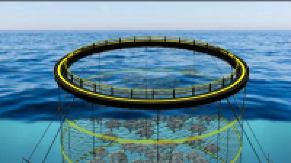 Productos de Análisis de amarre marino Sinostar