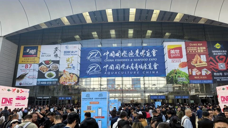 CFSE 2025 Salmon Expo Qingdao Guía de la cadena de amarre