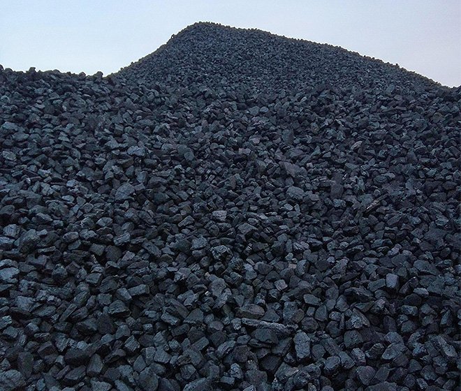 Coal