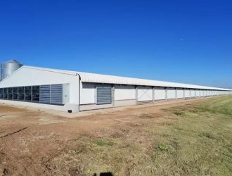 Steel Structure Chicken House for PoultryRaising Durable and Efficient
