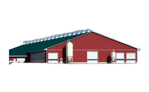 Cow Shed