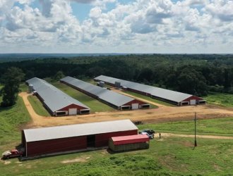 Poultry Chicken Farm House Design