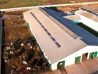 Prefab Cow Shed Frame Cattle House Steel Structure