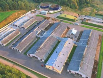 Low Cost Steel Structure Cow Shed and Cow Farm Buildings