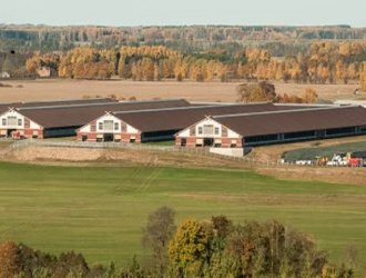 Prefabricated Steel Structure Chicken House