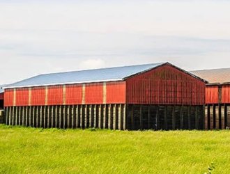 Prefabricated Prefab Cattle Cow Dairy Farming Shed with Light Frame Design