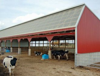 Prefabricated Prefab Cattle Cow Dairy Farming Shed with Light Frame Design