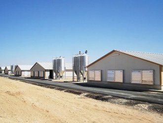 Poultry Chicken Farm House Design