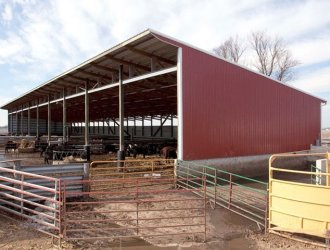 Prefabricated Steel Structure Cow Farm and Cow Shed