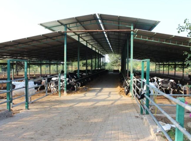 -3_0015_shed-4