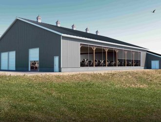 Prefabricated Steel Structure Building Design Cow Farm Shed