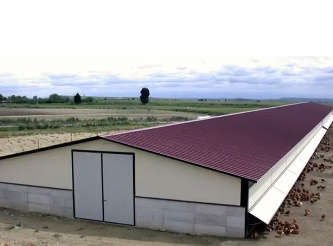 -3_0006_chicken house3_