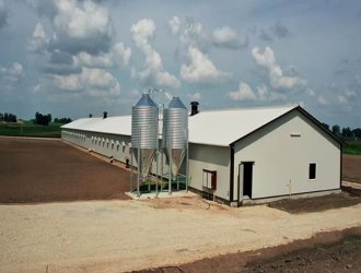 Easy Assembly Prefabricated Steel Structure Chicken Shed for Poultry Farm