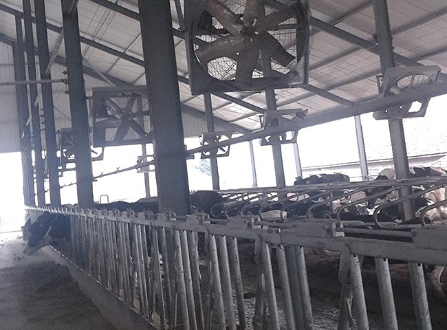-3_0011_our case - cow shed   3