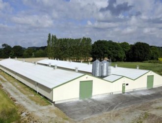 Steel Structure Building Design Chicken Poultry Farm for Sale