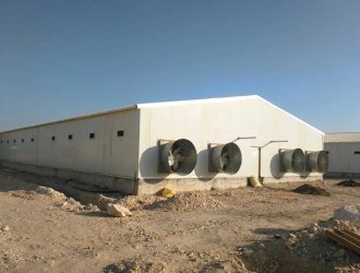 Prefabricated Steel Structure Poultry House Chicken Farm