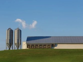 Commercial Chicken Broiler Poultry Farm Building Steel Structure