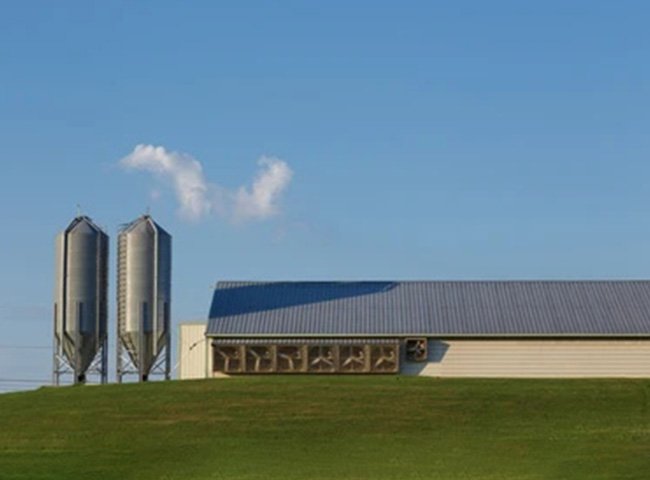 -3_0014_chicken-farm3_