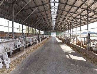 China Cheap Prices Modern Design Economic Steel Structure Steel Structure Cow Farm Building