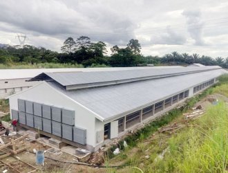 Cheap Prefab Steel Structure Poultry Farm Shed Chicken Farm House Building