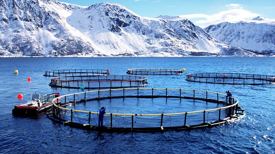 What is the NS 9415 standard for floating aquaculture farms?