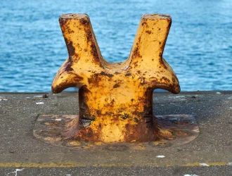 Weathered Staghorn Bollard-Dock Bollard