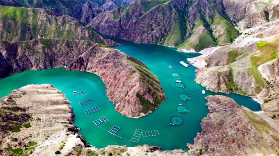 salmon in Xinjiang Province