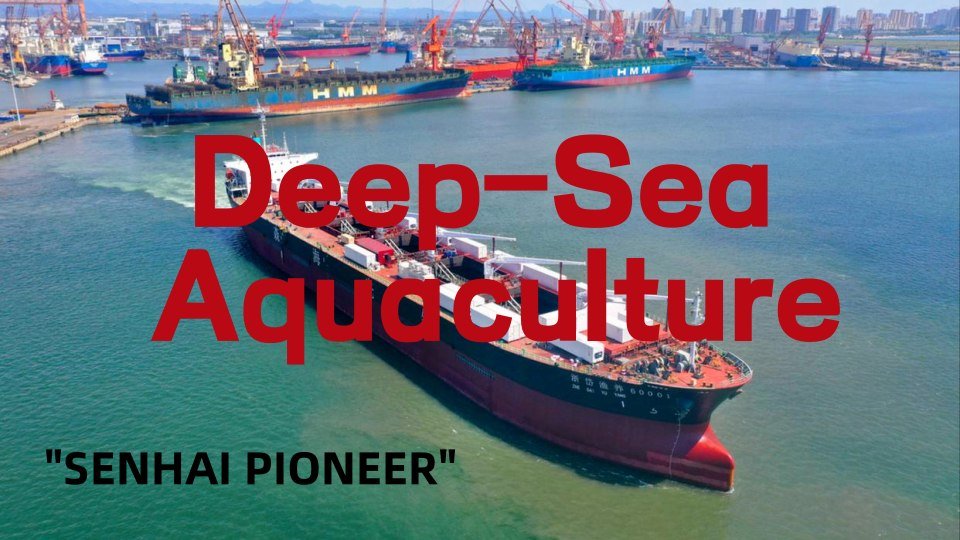 Deep Sea AQUA  "Senhai Pioneer"